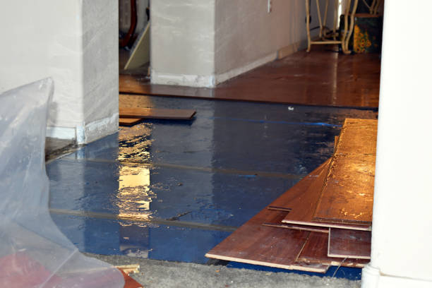 Professional Basement Flood Cleanup technician working in Shirley, MA